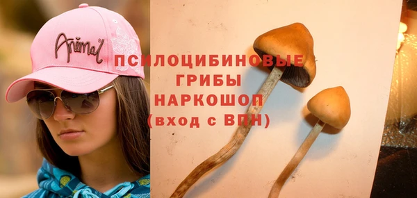 mdpv Елабуга