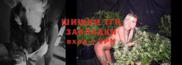 ECSTASY Ельня