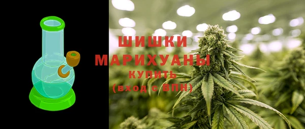 ECSTASY Ельня