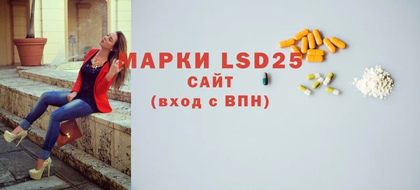 ECSTASY Ельня