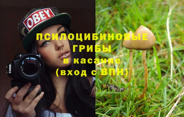 mdpv Елабуга