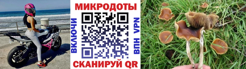Галлюциногенные грибы мицелий  Купить закладки  Рославль 